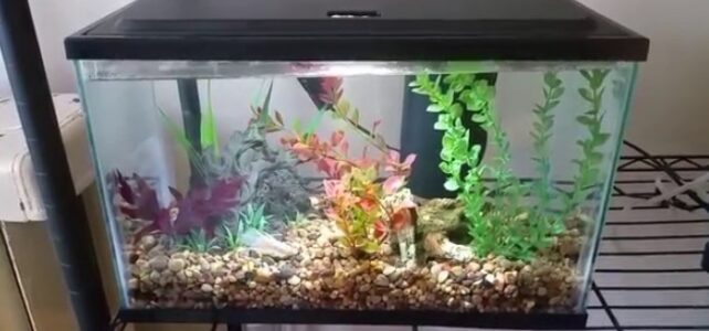 How to Choose a Reverse Osmosis System for Aquarium How to Choose a Reverse Osmosis System for Aquarium