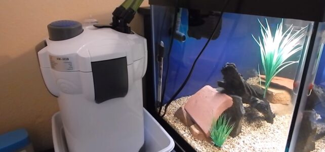 How to Set Up a Canister Filter for Aquarium How to Set Up a Canister Filter for Aquarium