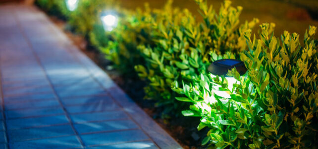 Benefits of Solar Garden Lights